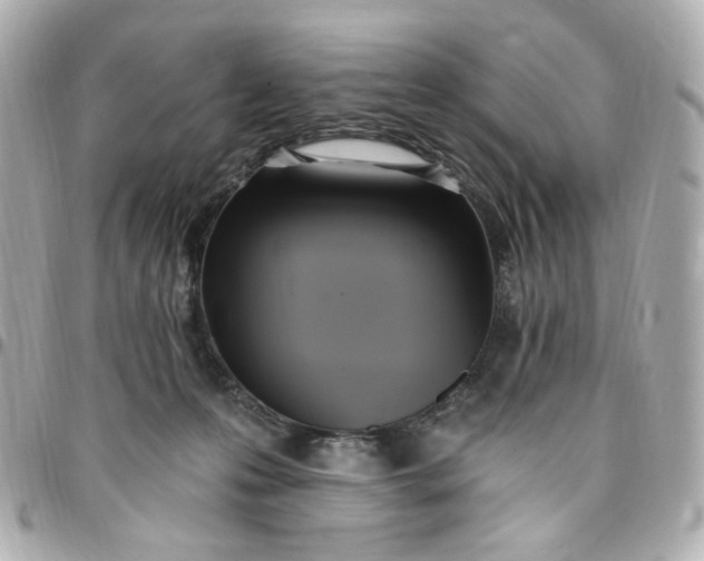 X0000096490223200802071950