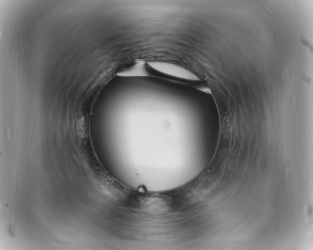 X0000096490224200802071950