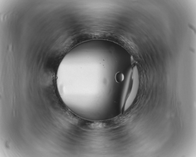 X0000096490225200802071950