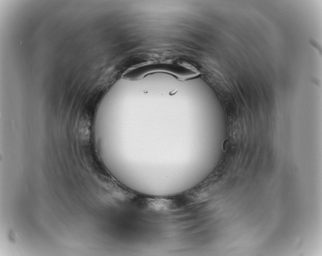 X0000096490226200802071950