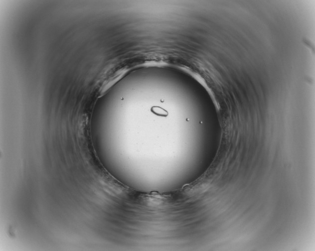 X0000096490229200802071950