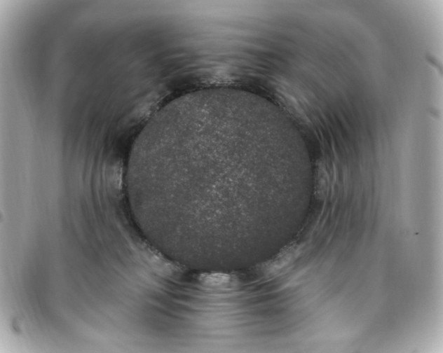 X0000096490230200802071950