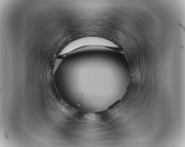 X0000096490231200802071950