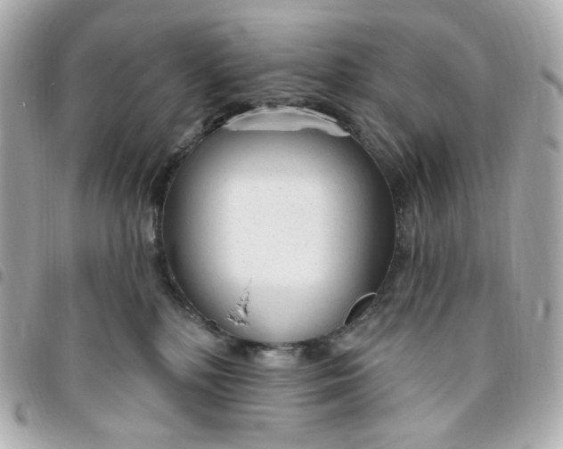 X0000096490232200802071950