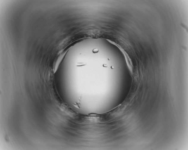 X0000096490233200802071950