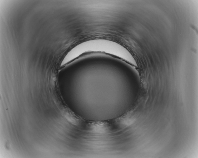 X0000096490235200802071950