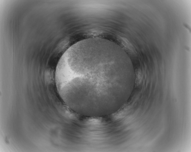 X0000096490236200802071950