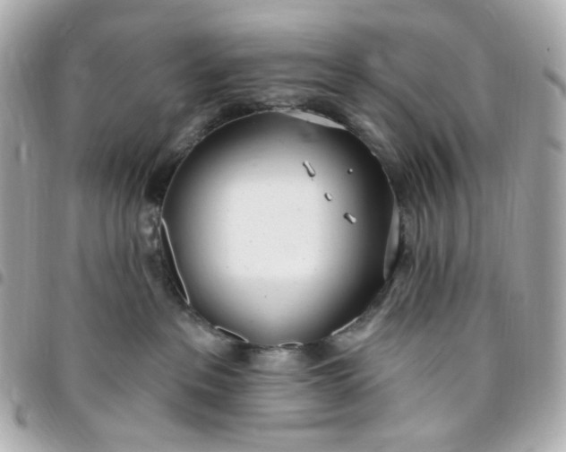 X0000096490237200802071950