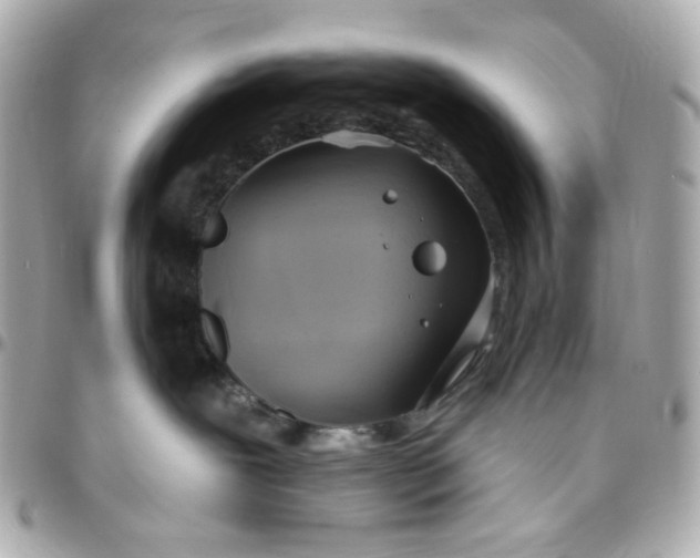 X0000096490239200802071950