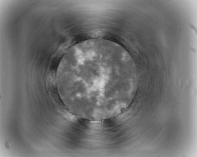 X0000096490240200802071950