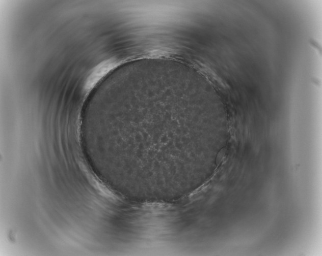 X0000096490242200802071949