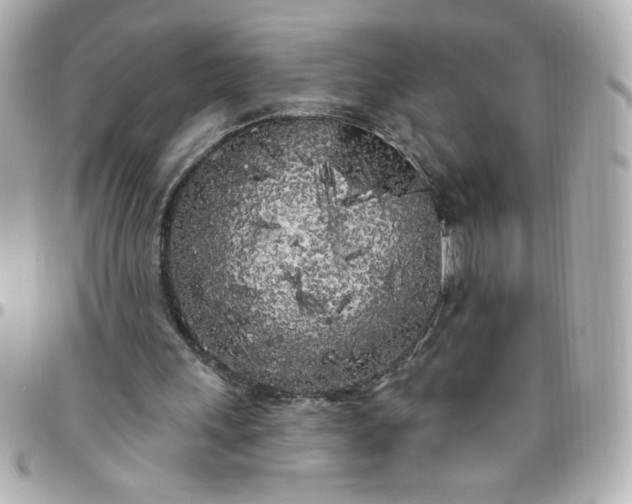 X0000096490243200802071949