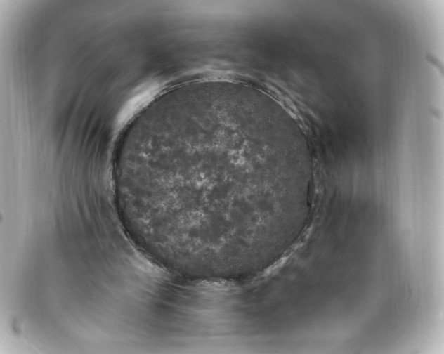 X0000096490245200802071949