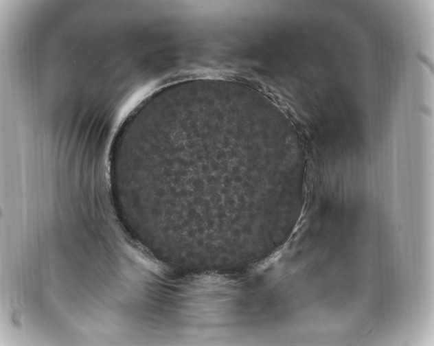 X0000096490246200802071949