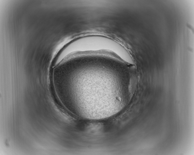 X0000096490248200802071949