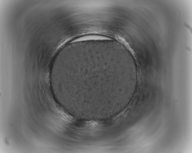 X0000096490249200802071949