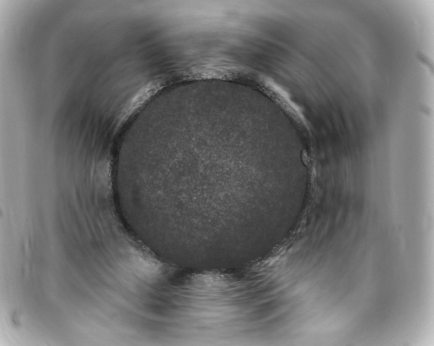 X0000096490250200802071949