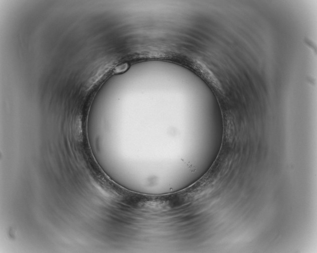 X0000096490251200802071949