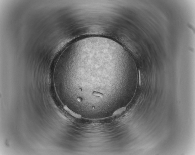 X0000096490252200802071949