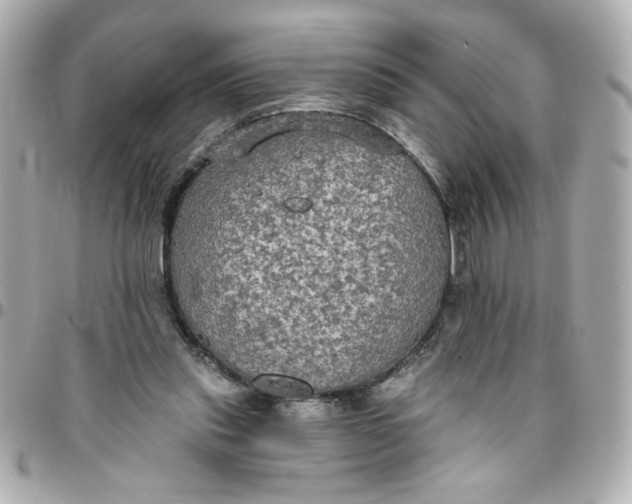 X0000096490253200802071949