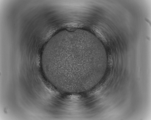 X0000096490255200802071949