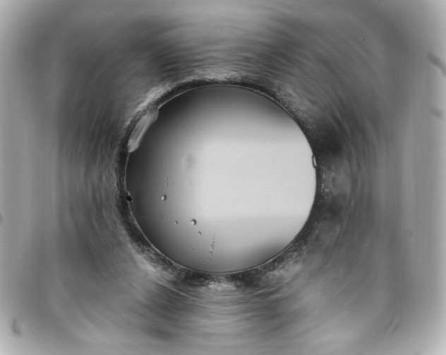 X0000096490256200802071949