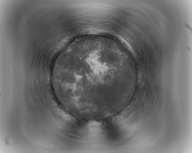 X0000096490257200802071949