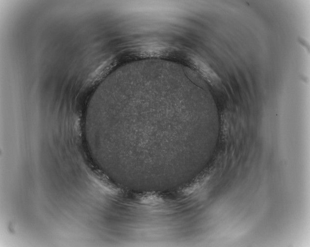 X0000096490258200802071949