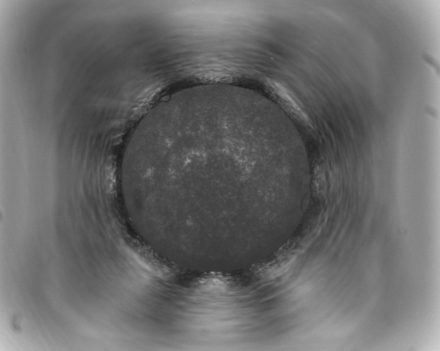 X0000096490259200802071949