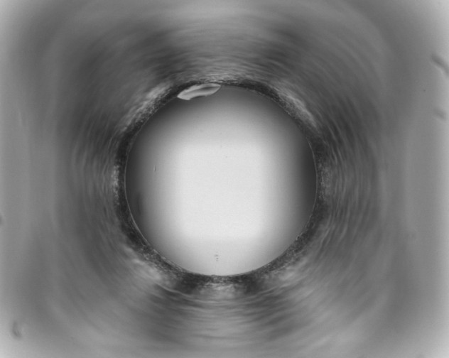 X0000096490260200802071949