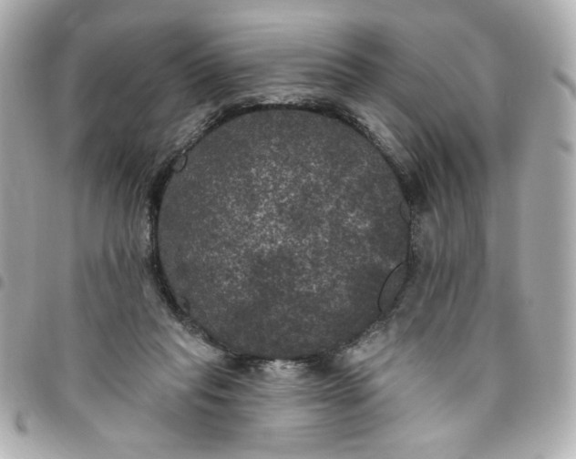 X0000096490261200802071949