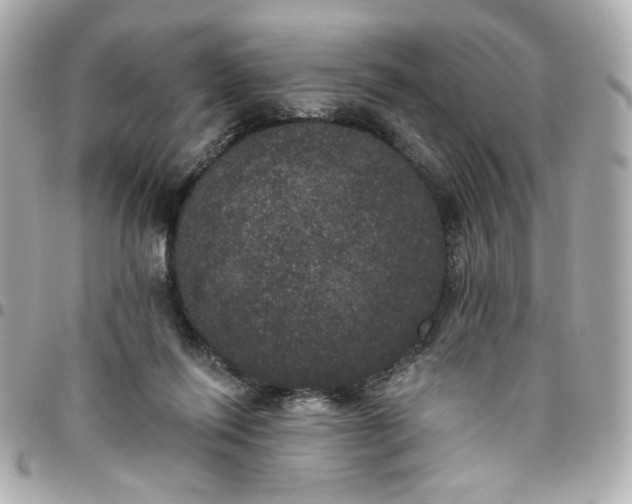 X0000096490262200802071949