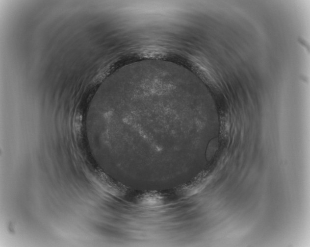 X0000096490263200802071949