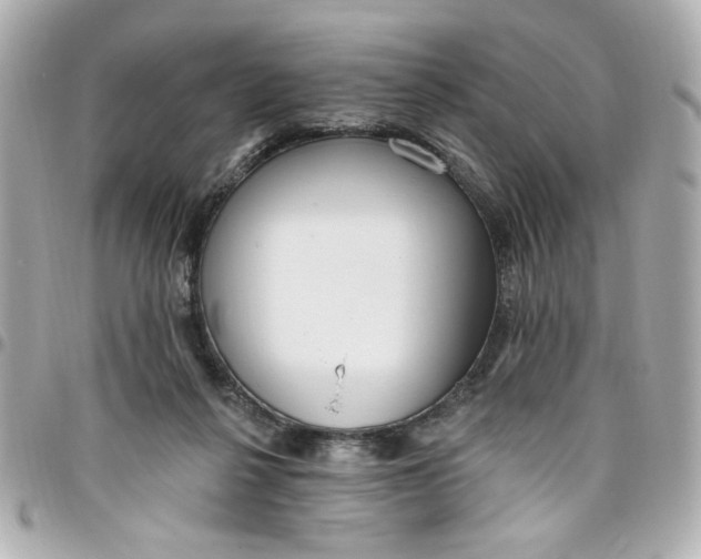 X0000096490264200802071949