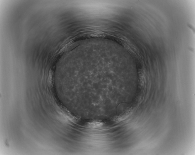 X0000096490266200802071949