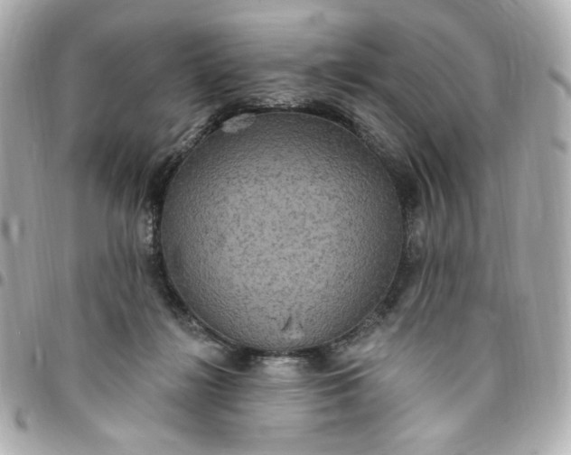 X0000096490268200802071949