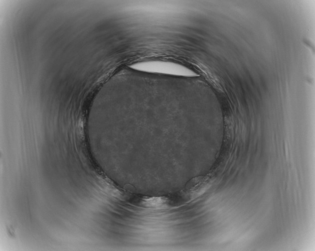 X0000096490269200802071949