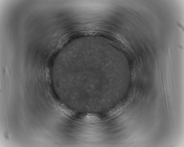 X0000096490270200802071949