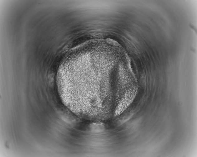 X0000096490271200802071949