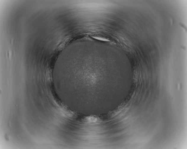 X0000096490272200802071949