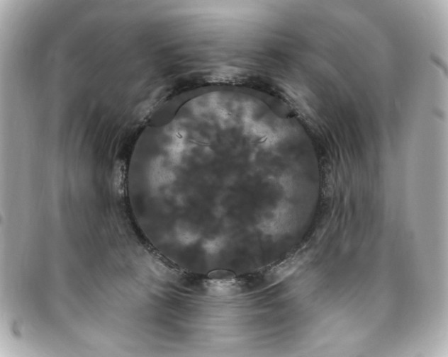 X0000096490273200802071949