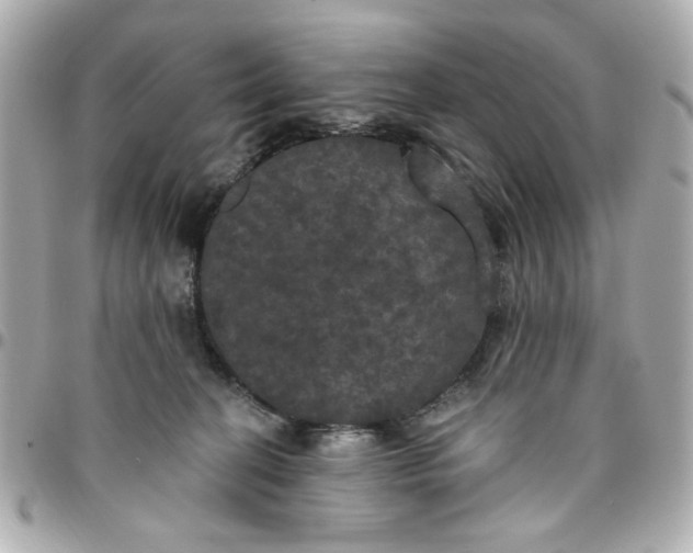 X0000096490274200802071949