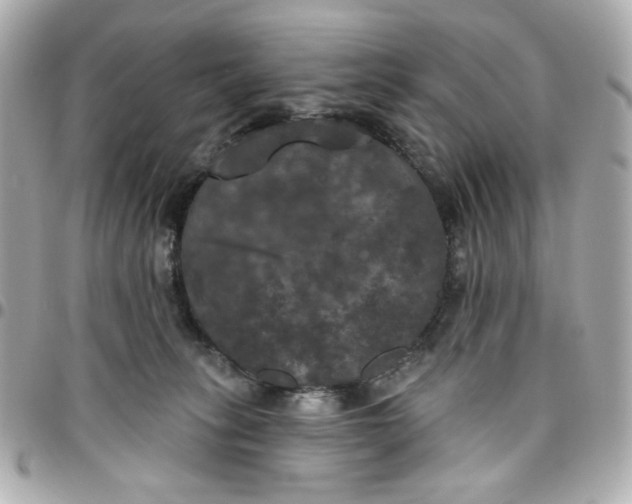 X0000096490275200802071950