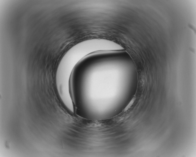 X0000096490276200802071950