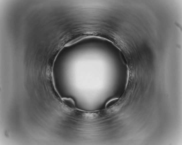 X0000096490277200802071950