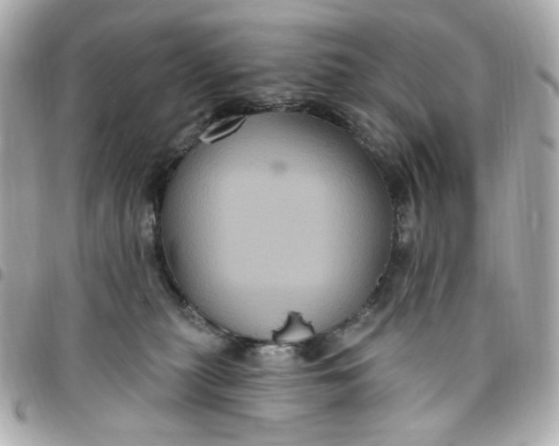 X0000096490279200802071950