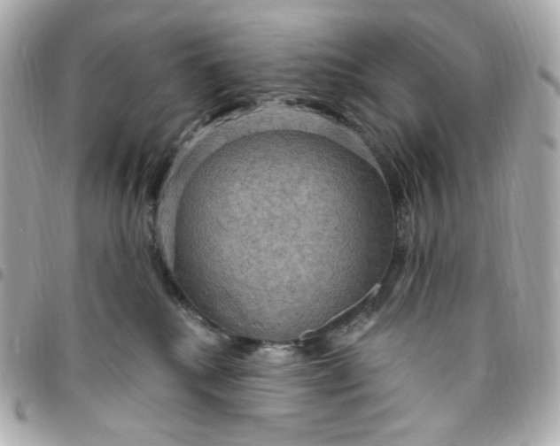 X0000096490280200802071950