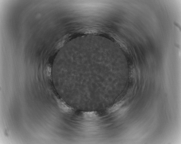 X0000096490281200802071950