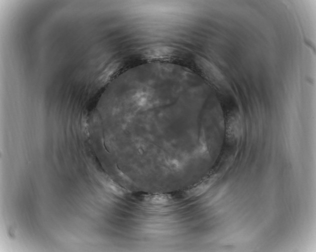 X0000096490282200802071950