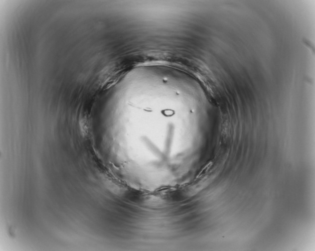 X0000096490285200802071950